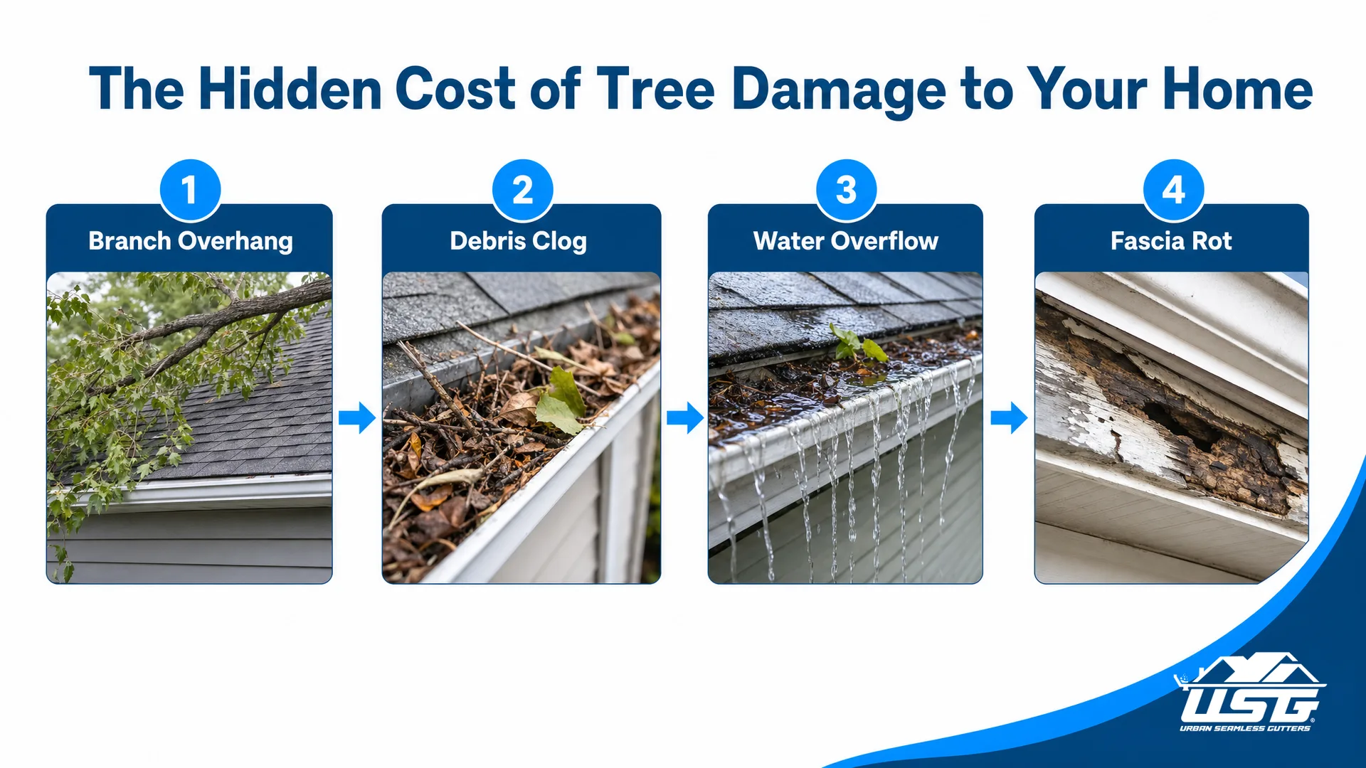 The Hidden Cost of Tree Damage to Your Home — infographic: overhanging branches gutter damage progression — process flow with four labeled stages: Branch Overhang, Debris Clog, Water Overflow, Fascia Rot — each stage connected by arrows, clean layout on white background